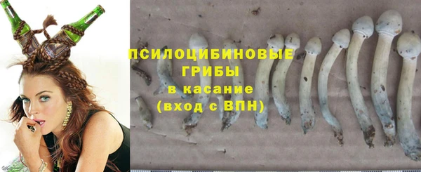 2c-b Заволжье