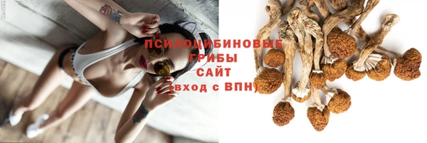 2c-b Заволжье
