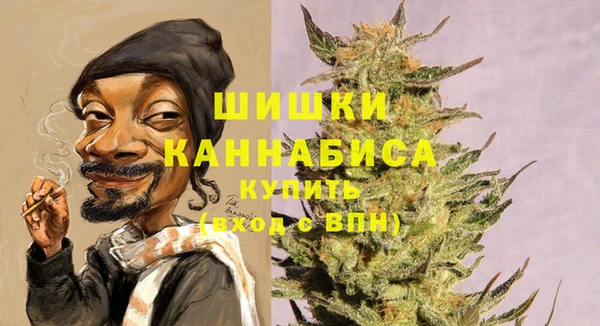 шишки Заводоуковск