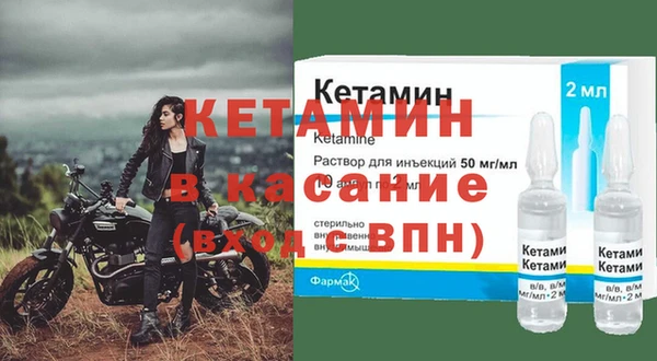 шишки Заводоуковск