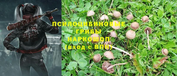 2c-b Заволжье