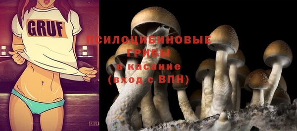 шишки Заводоуковск
