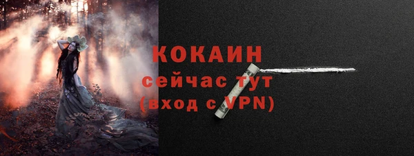 шишки Заводоуковск